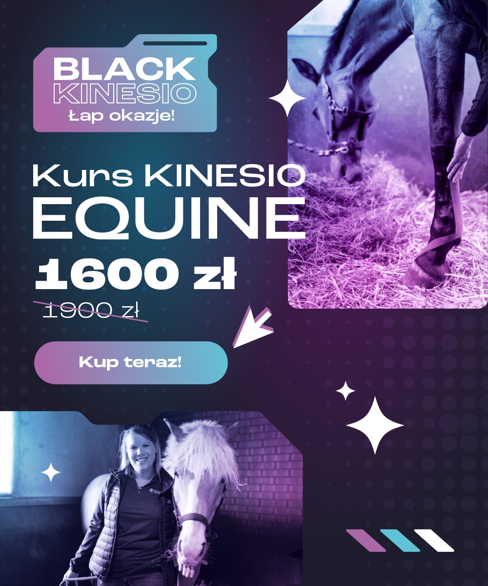 BLACK OFERTY Equine