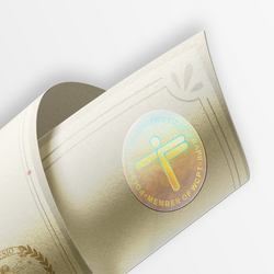 [KINSEIO] Towar bazowy kurs bez akredytacji